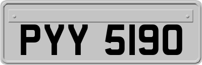 PYY5190