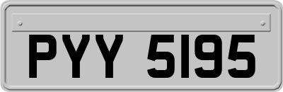 PYY5195