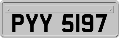 PYY5197