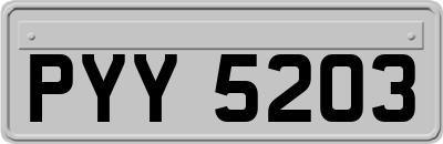 PYY5203