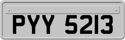 PYY5213