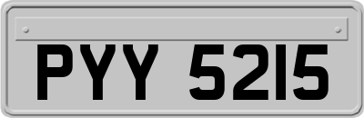 PYY5215