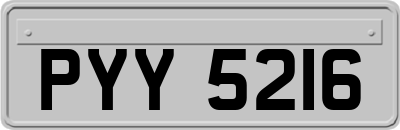 PYY5216