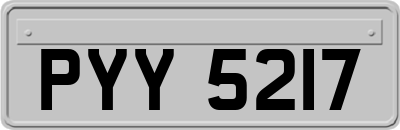 PYY5217