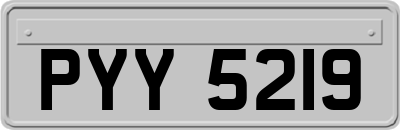 PYY5219