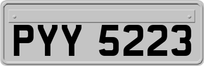PYY5223