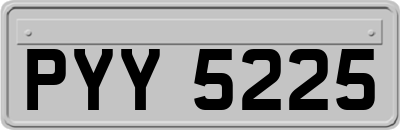 PYY5225