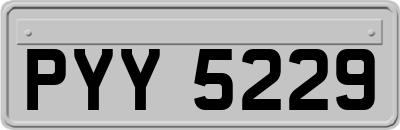 PYY5229