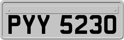 PYY5230