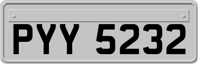 PYY5232