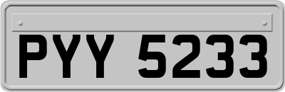 PYY5233