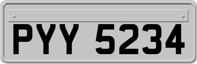 PYY5234