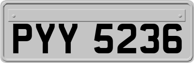 PYY5236