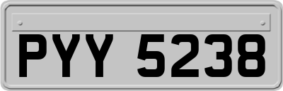 PYY5238