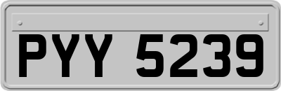 PYY5239