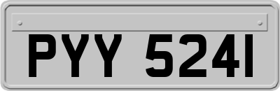 PYY5241