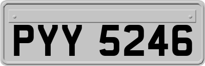 PYY5246