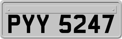 PYY5247
