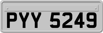 PYY5249