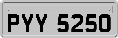 PYY5250