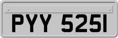 PYY5251