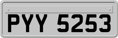 PYY5253