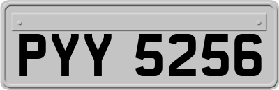 PYY5256