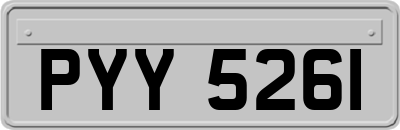 PYY5261