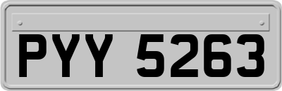 PYY5263
