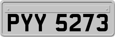 PYY5273