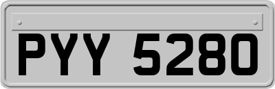 PYY5280