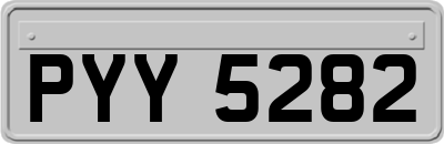 PYY5282