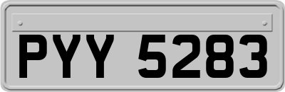 PYY5283