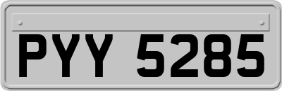 PYY5285