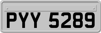PYY5289