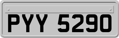 PYY5290