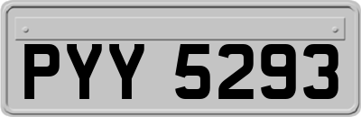 PYY5293
