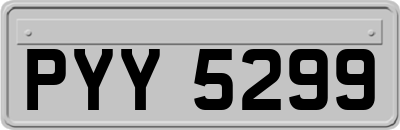 PYY5299