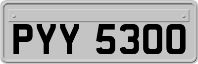 PYY5300