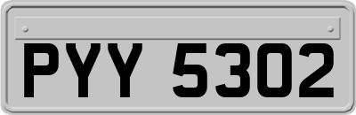 PYY5302