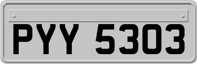 PYY5303