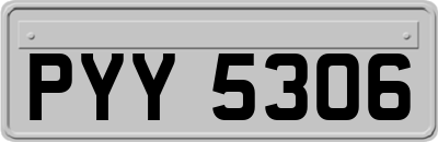 PYY5306
