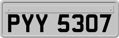 PYY5307