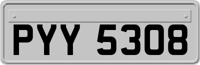 PYY5308