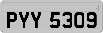 PYY5309