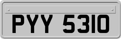 PYY5310