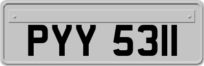 PYY5311