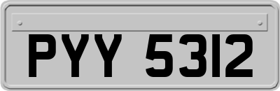 PYY5312