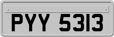 PYY5313