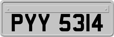 PYY5314